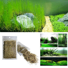 Load image into Gallery viewer, Plant Grass Seeding Aquarium Fish Tank Plants Prospects Grass Landscaping Plant Decoration Planting Drop Shipping #40