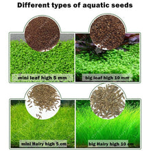 Load image into Gallery viewer, Aquarium Plant Seeds Water Aquatic Green Water Grass Decoration Easy Planting Fish Tank Landscape Ornament